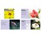 Little Pebble Plant Parts, Set of 6 books 9781977111043 - alternate 5